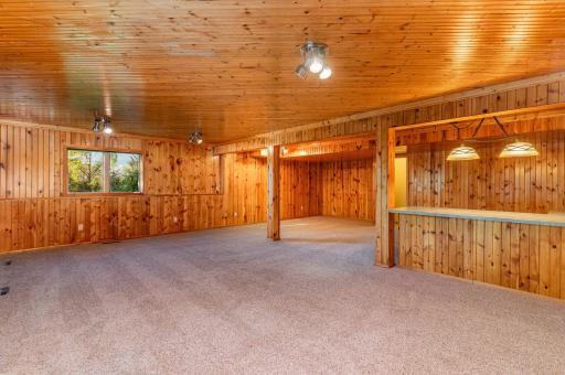Lower Level Rec Room