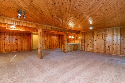 Lower Level Rec Room