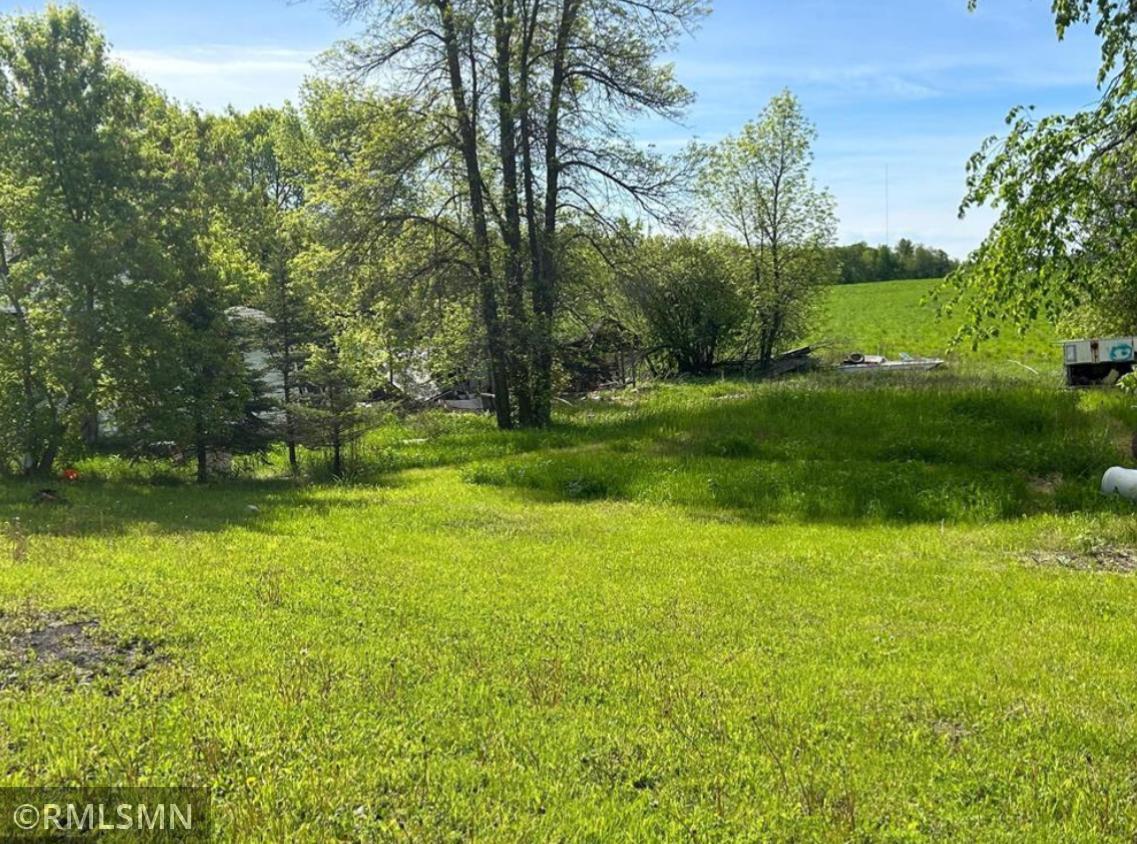yard toward septic mound