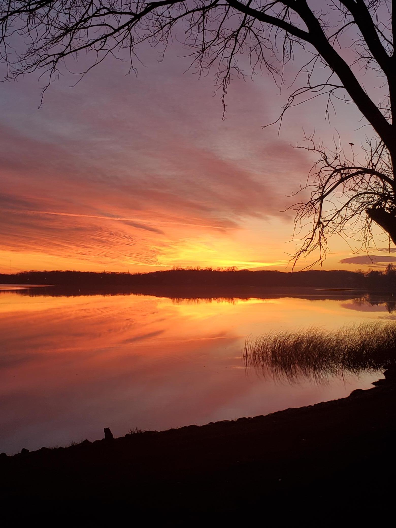 Beautiful sunsets