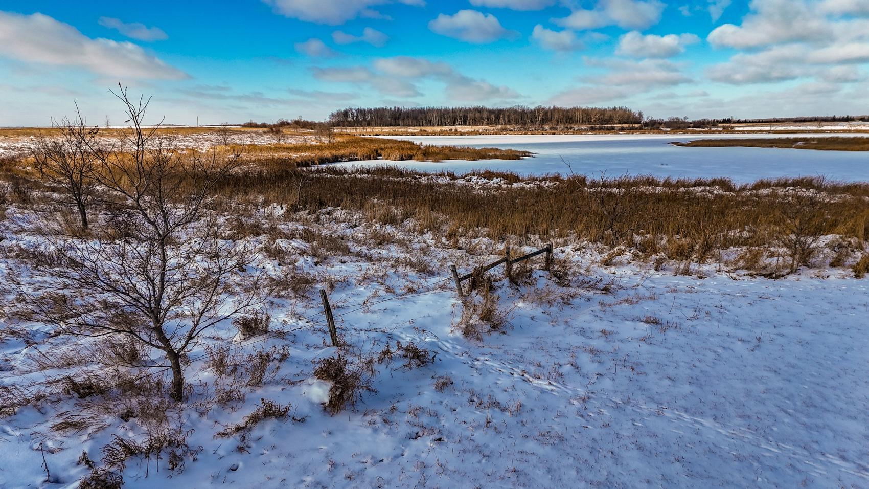 Town Hall Rd Acreage-36.JPG