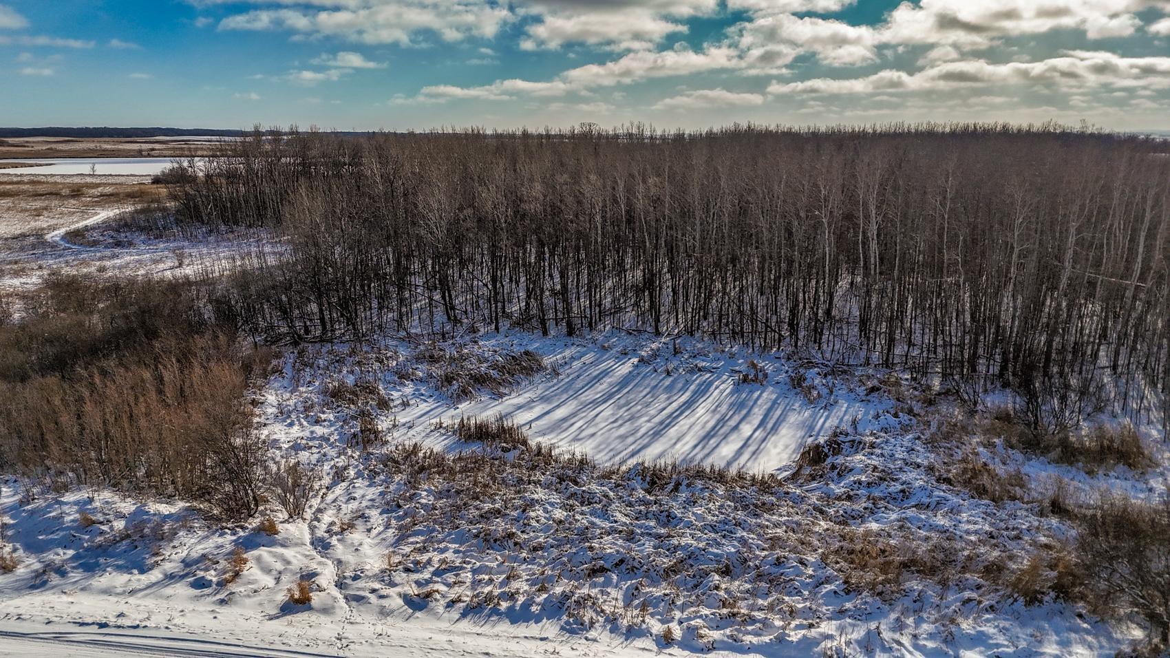 Town Hall Rd Acreage-42.JPG
