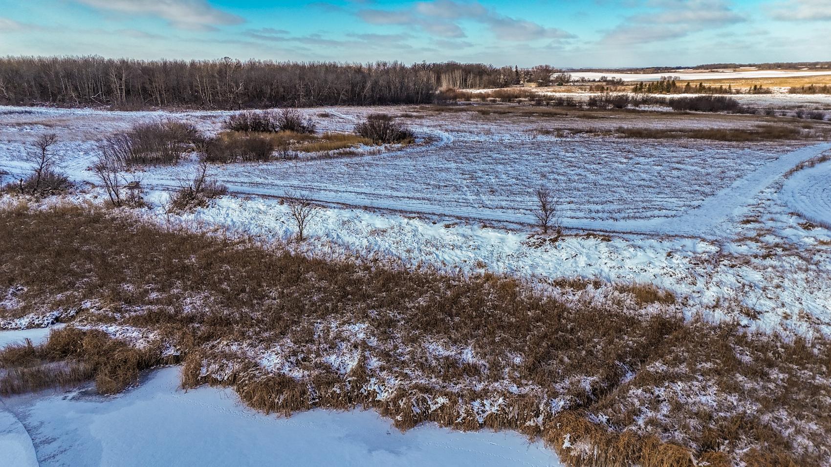Town Hall Rd Acreage-35.JPG