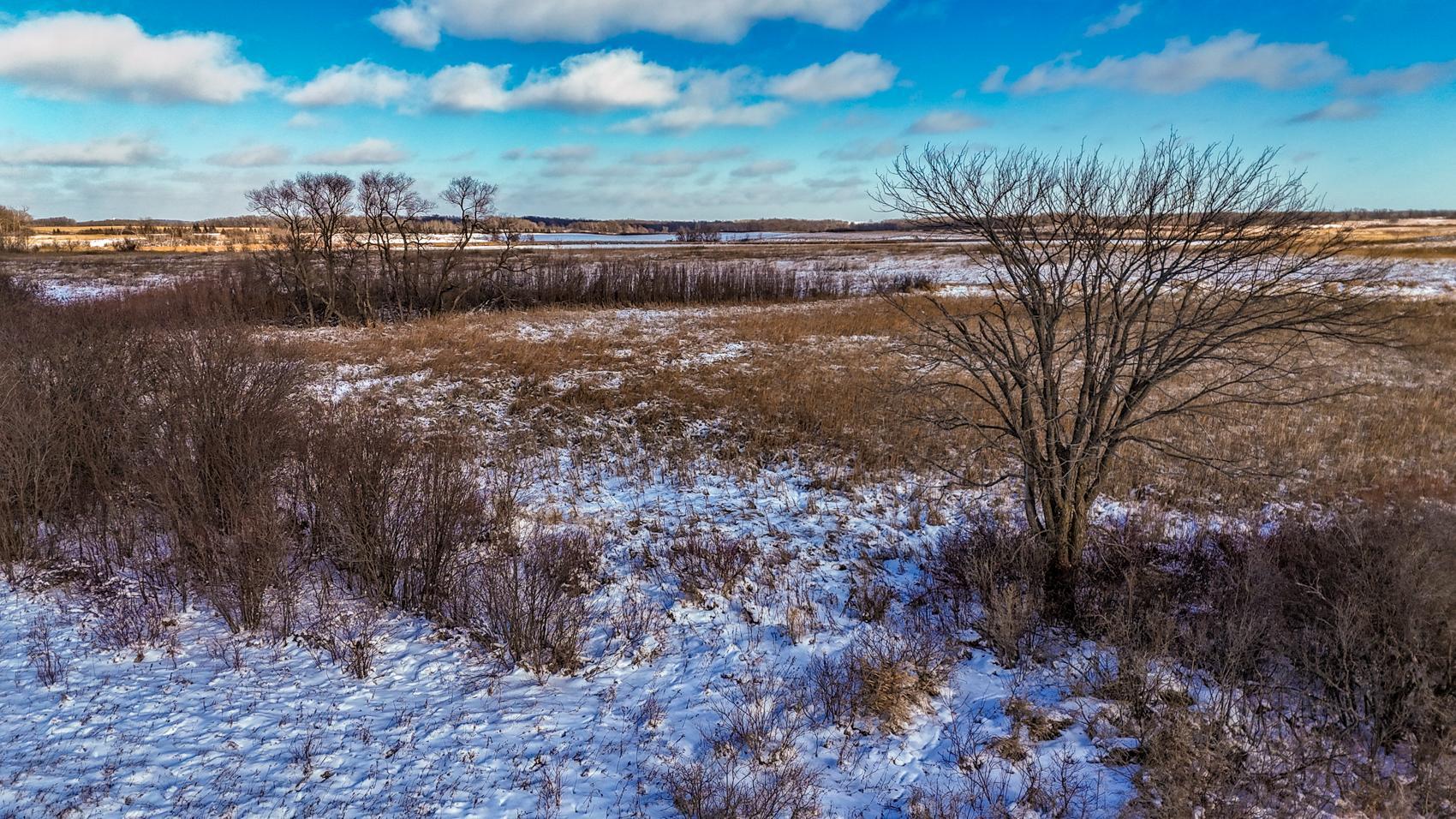 Town Hall Rd Acreage-38.JPG