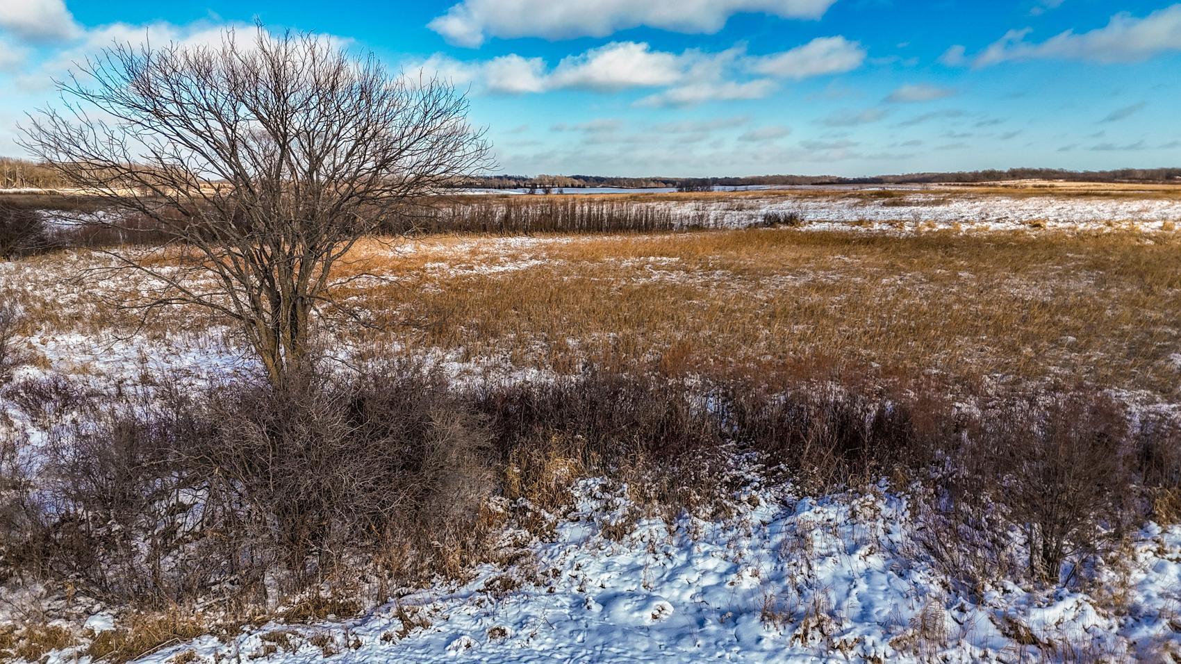 Town Hall Rd Acreage-37.JPG