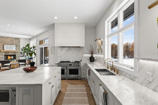 A Venetian plaster kitchen hood and 48 inch chef's range.