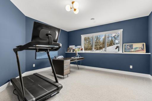 Lower level flex space - could be exercise, bedroom, and/or office.