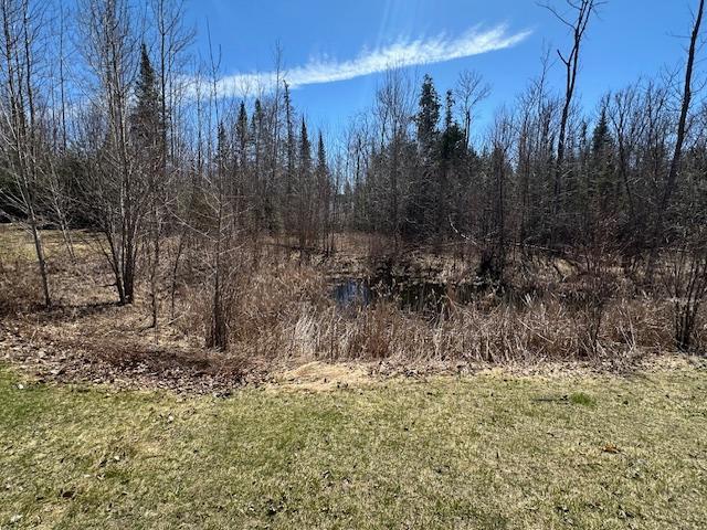 Cute little pond area