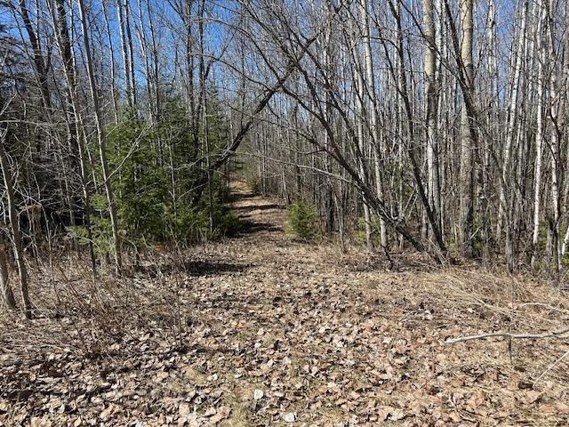 Trail in back yard to the adorable bonus space