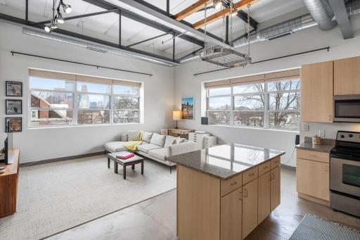 111 E Franklin Avenue, 316, Minneapolis, MN 55404