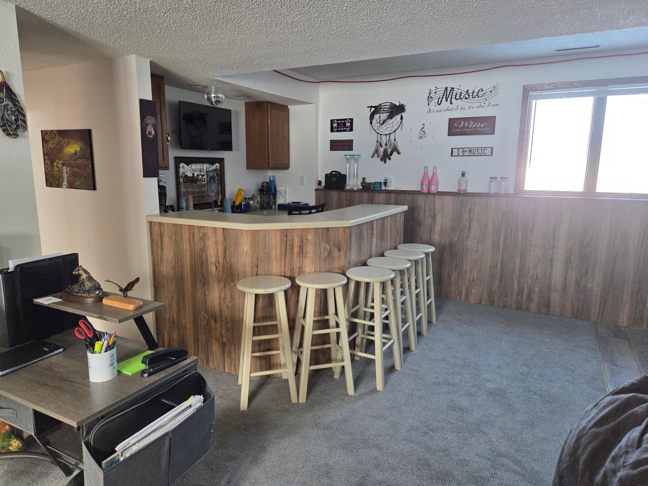 Lower Level Family Room