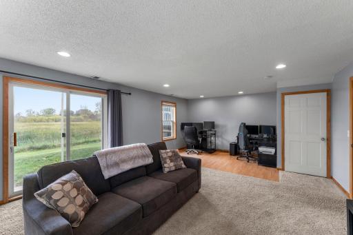 Lower level family room walks out to the backyard.