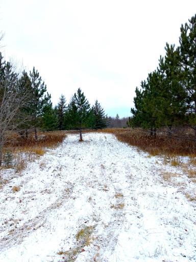 Lot 3 - TBD 330th Street, Warroad, MN 56763