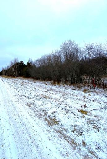 Lot 3 - TBD 330th Street, Warroad, MN 56763