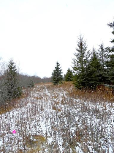 Lot 3 - TBD 330th Street, Warroad, MN 56763