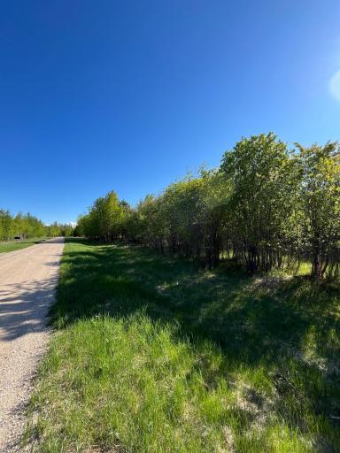 Lot 3 - TBD 330th Street, Warroad, MN 56763