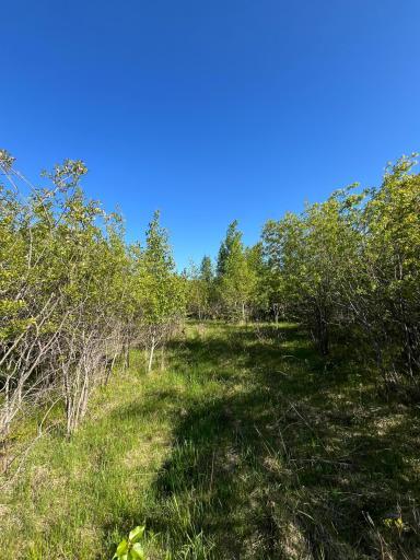 Lot 3 - TBD 330th Street, Warroad, MN 56763