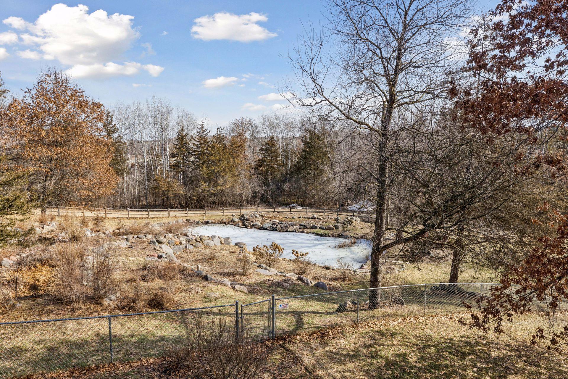 Serene backyard views with open green space and wooded privacy