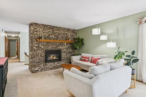 Fantastic lower level with focus fireplace and new electric fireplace