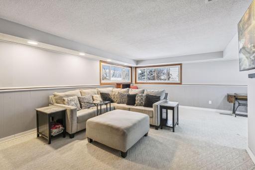 Large lower level family room