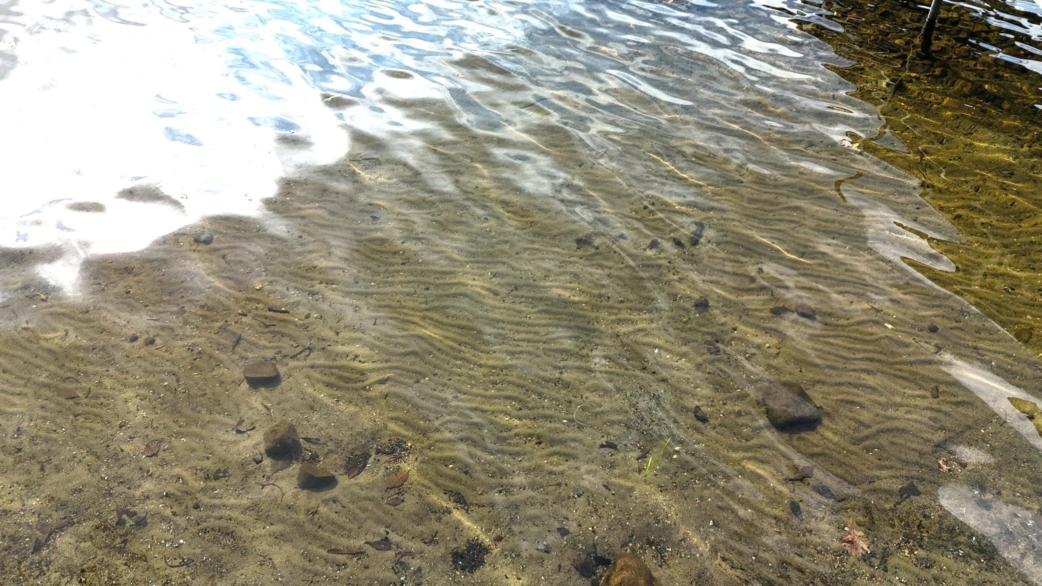 Lake John is great for swimming, paddling, boating, fishing and more!
