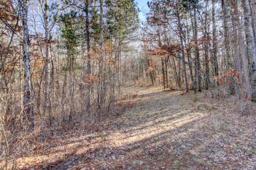 15861 Fortune Drive, Park Rapids, MN 56470