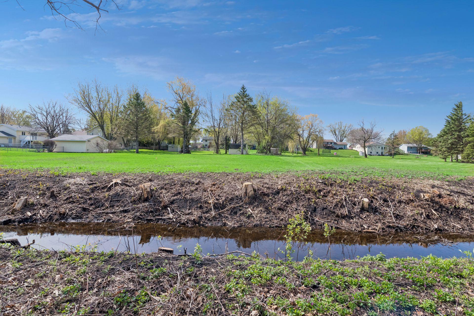 The view from the back edge of the property. Mature trees, open green space, and a quiet, almost rural feel that is getting harder to find on a lot this size.