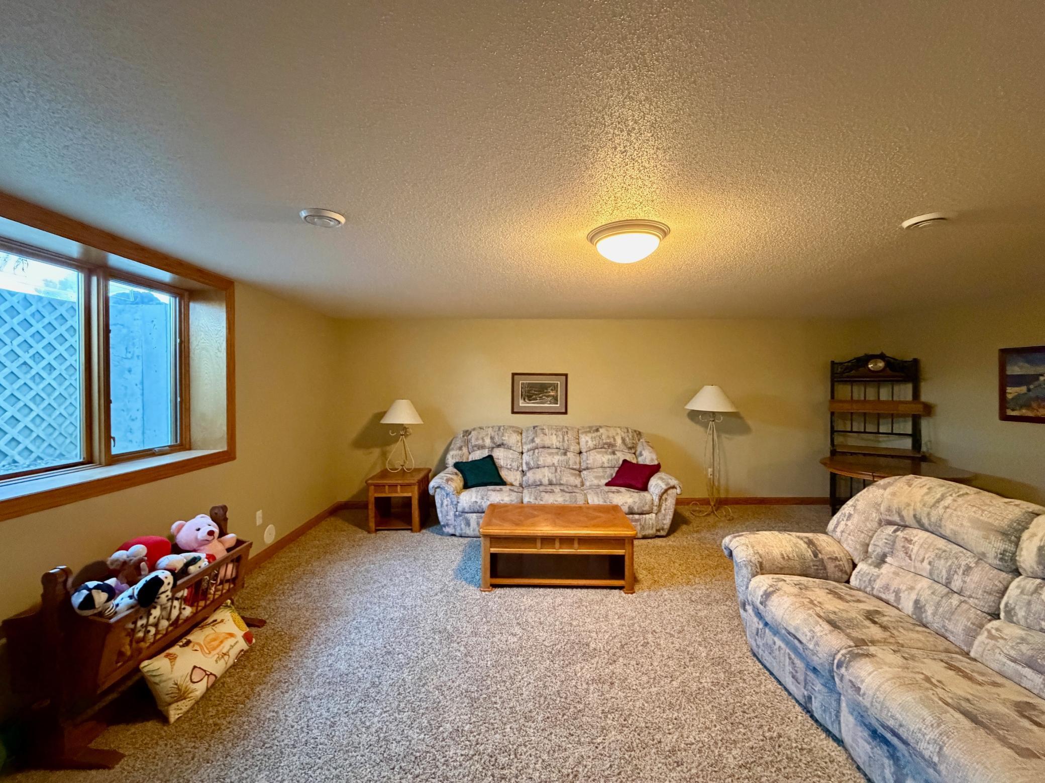 Basement family room
