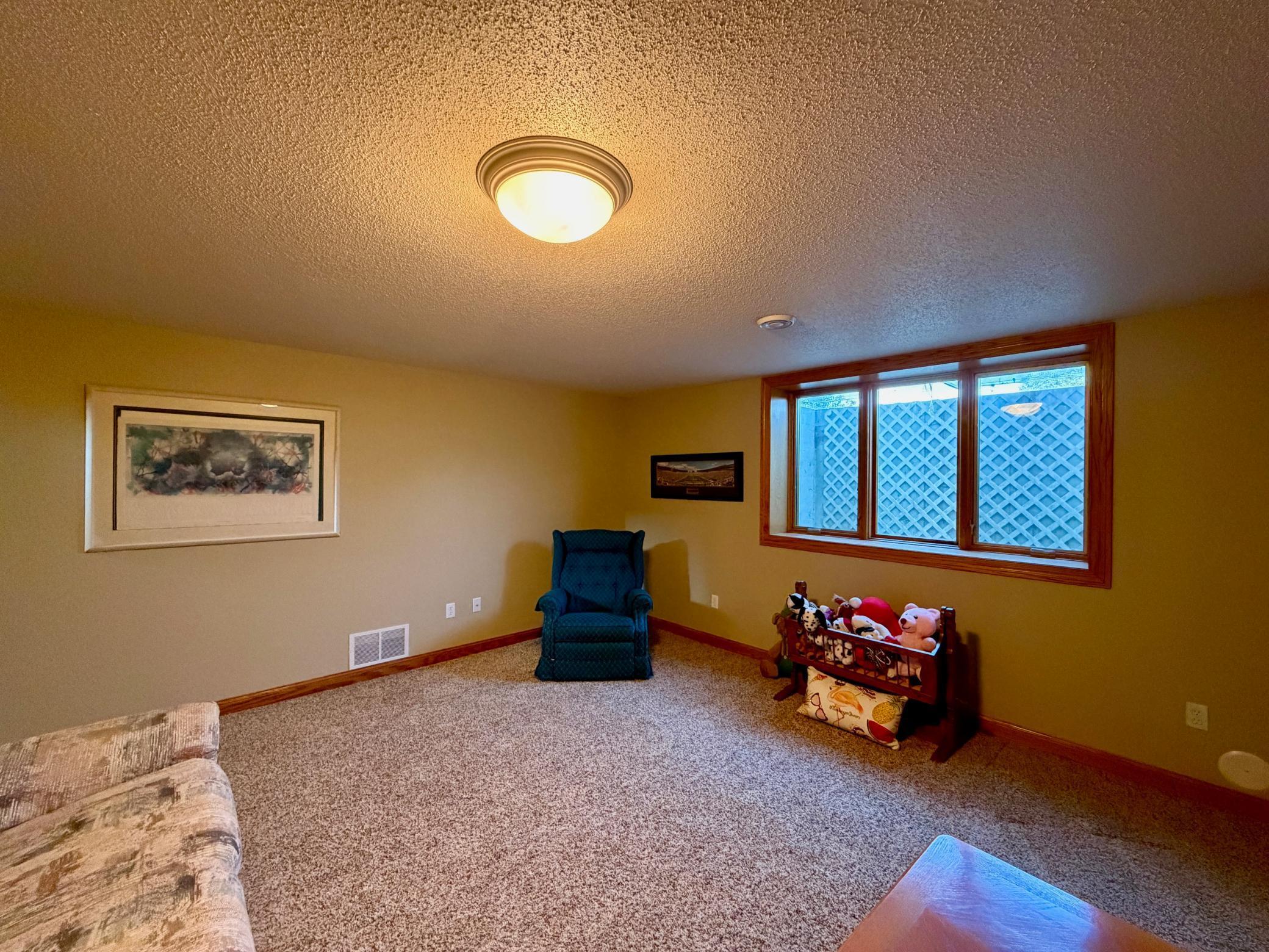 Basement family room