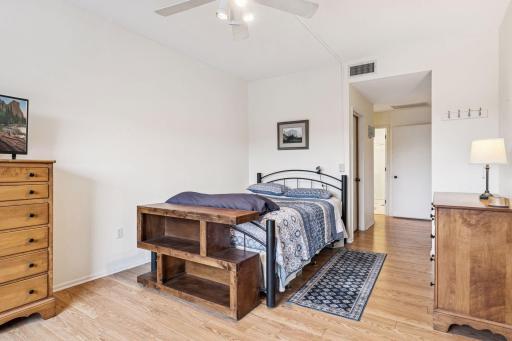 Master bedroom with walk-in Closet