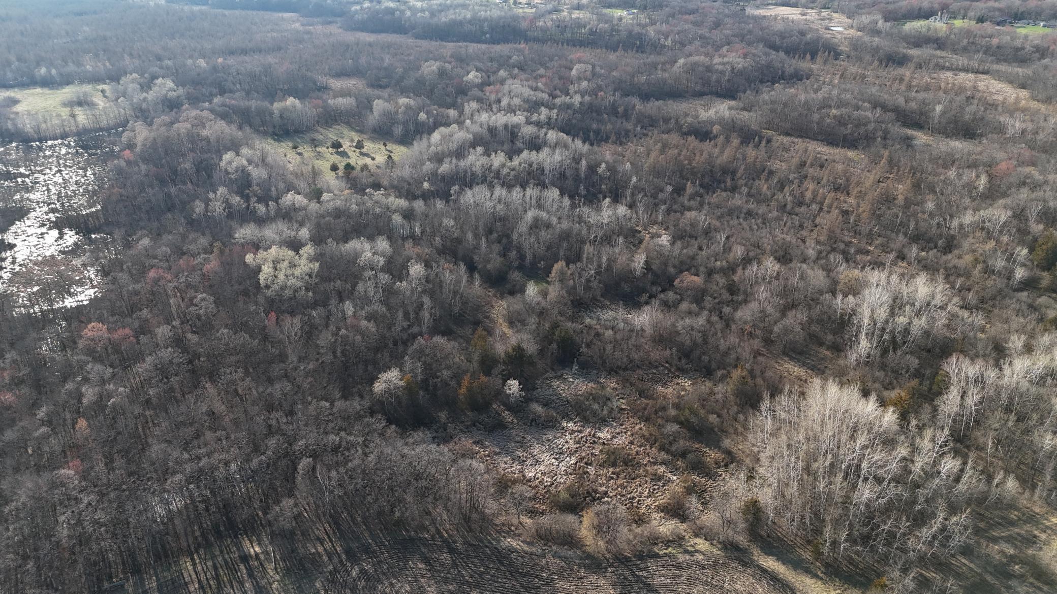 DJI_20260414175301_0099_D.JPG