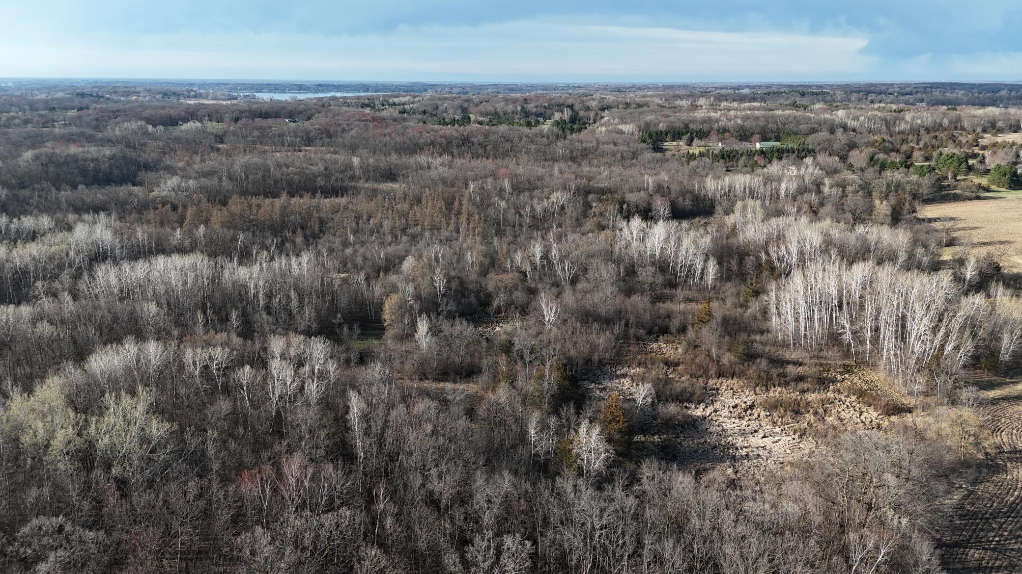 DJI_20260414175128_0091_D.JPG