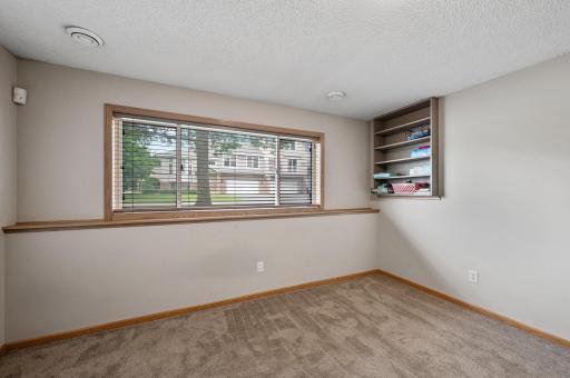 Additional view of the lower level family room.