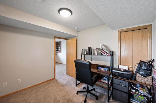 Additional view of the lower level bedroom.