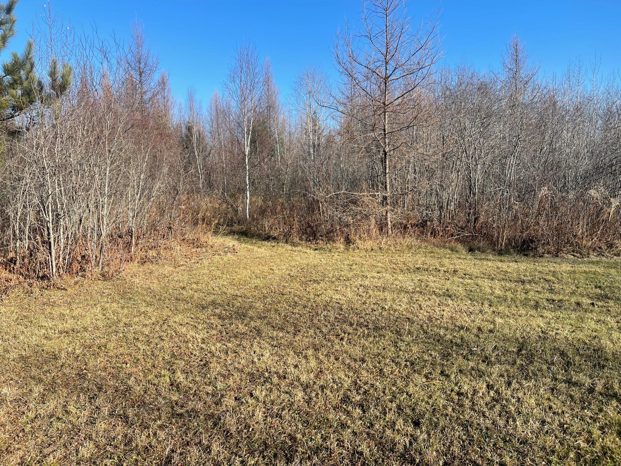 Trail out of backyard