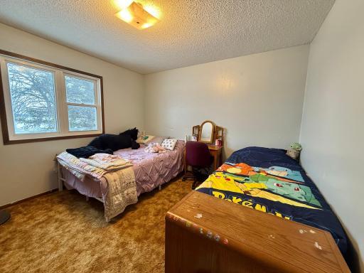 611 Evergreen Street, Thief River Falls, MN 56701