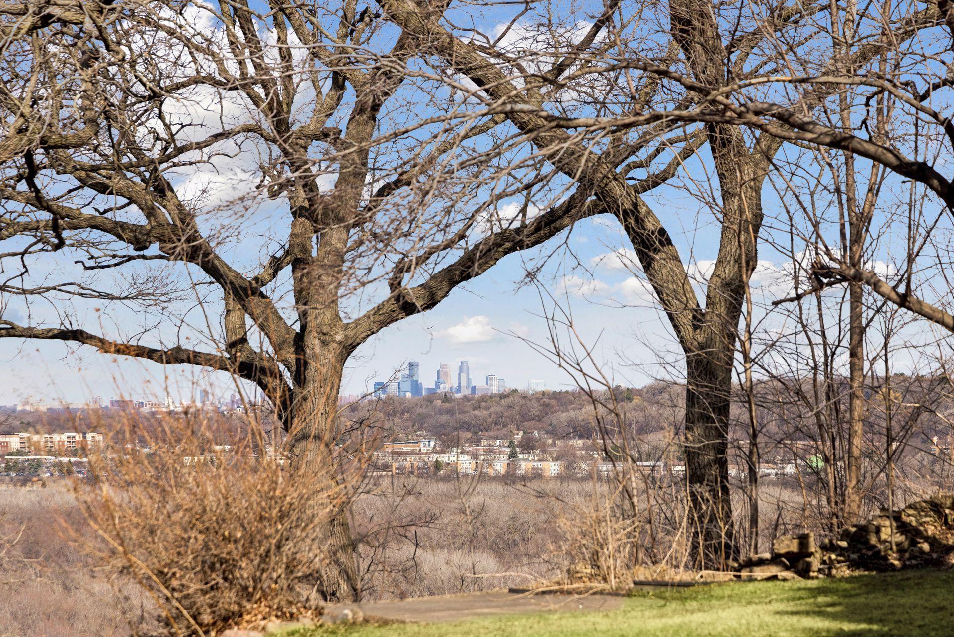 Minneapolis skyline views