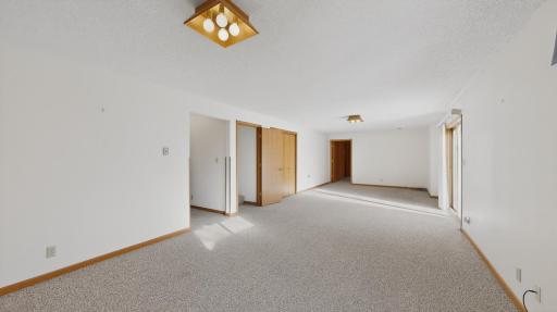 Lower-Level Family Room