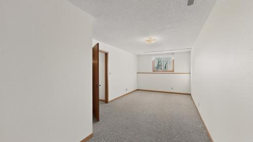 Lower-Level Bedroom #3