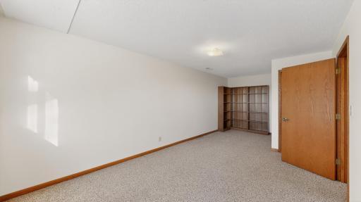 Lower-Level Bedroom #3