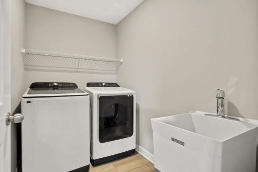 laundry tub is perfect to handwash items or wash a small dog?