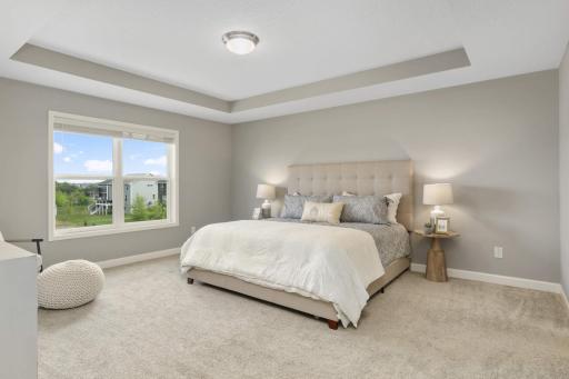 Spacious owner's suite with tray ceiling