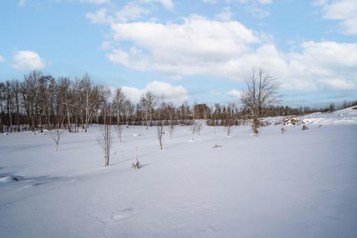 DSC07250-Edit.jpg