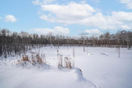 DSC07246-Edit.jpg