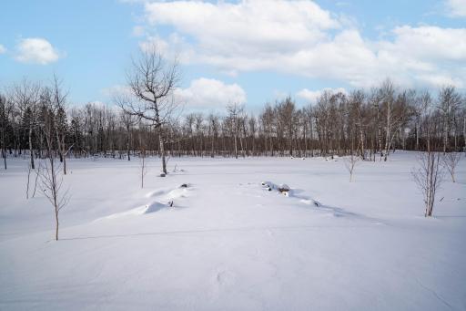 DSC07249-Edit.jpg