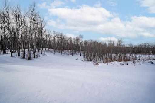 DSC07241-Edit.jpg