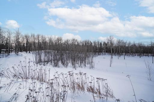 DSC07243-Edit.jpg