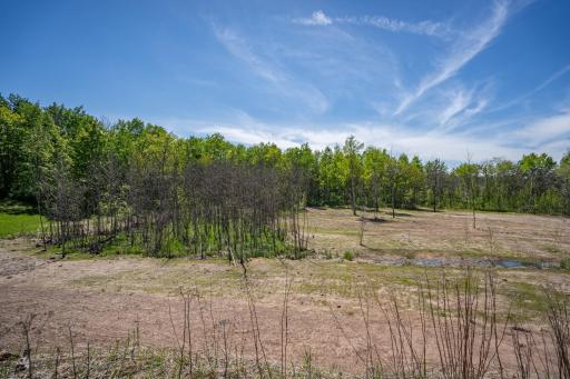 DSC09695-1.jpg