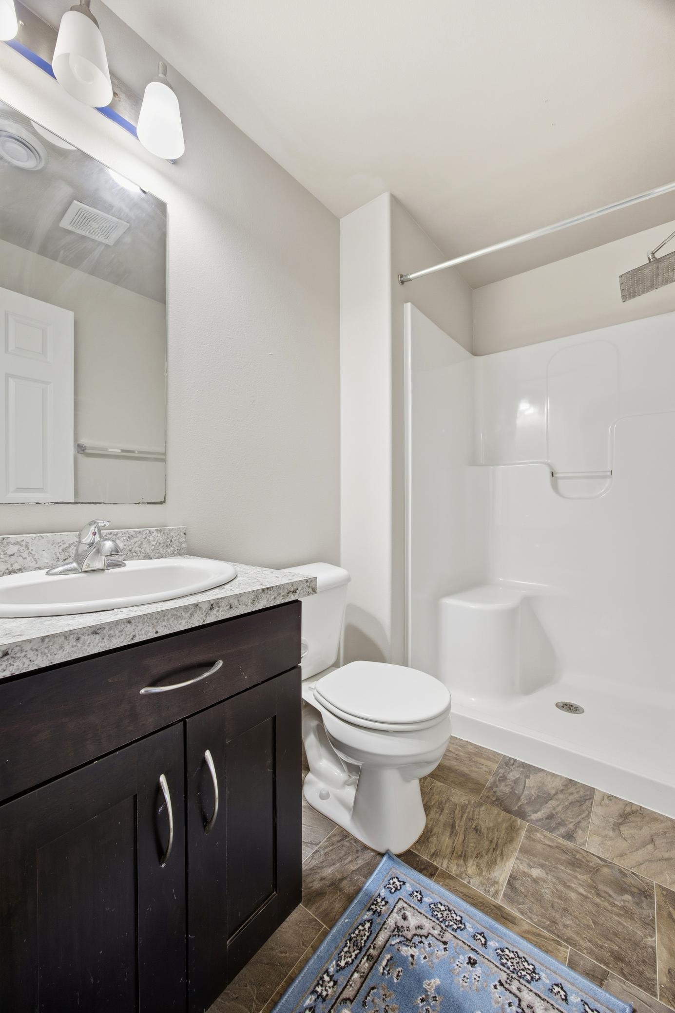 Lower Level Bathroom