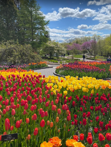 Oak Creek is just a short drive from the beautiful Arboretum. Enjoy this outdoor space year round!